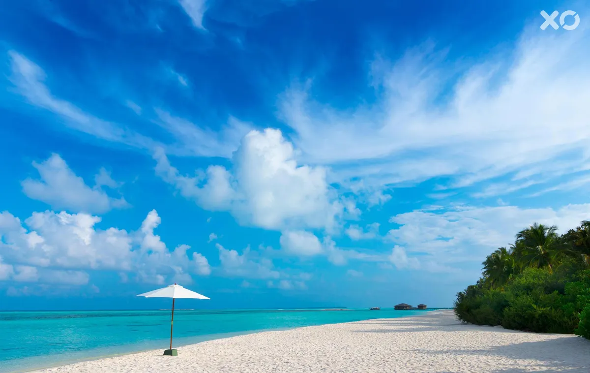 Cocoon Maldives