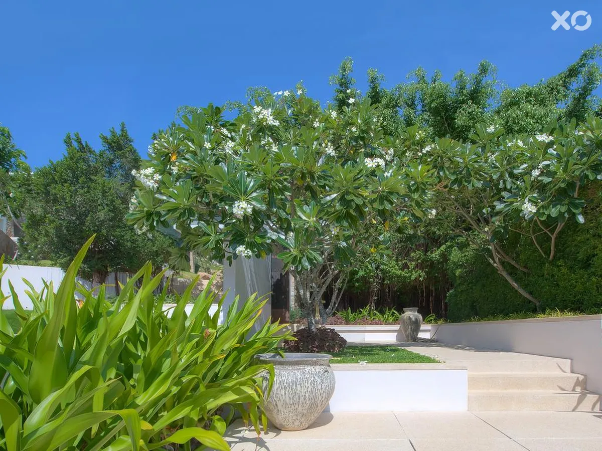 Samujana Villas