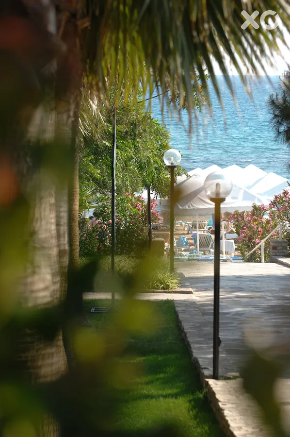 Barut Arum