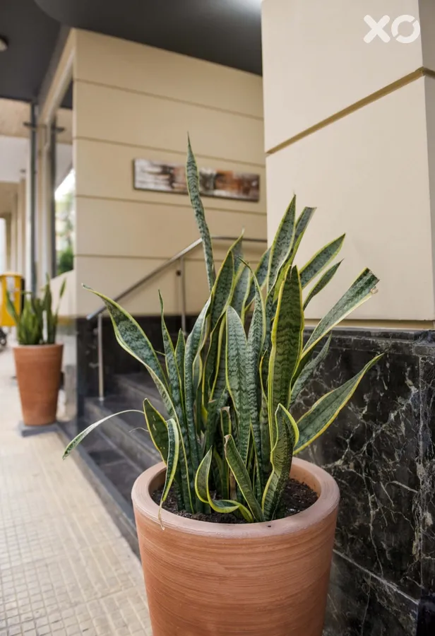 Acropolis Select Hotel