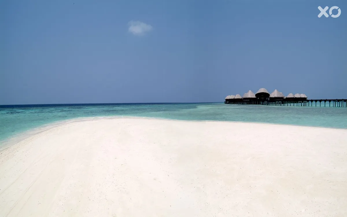 Coco Bodu Hithi
