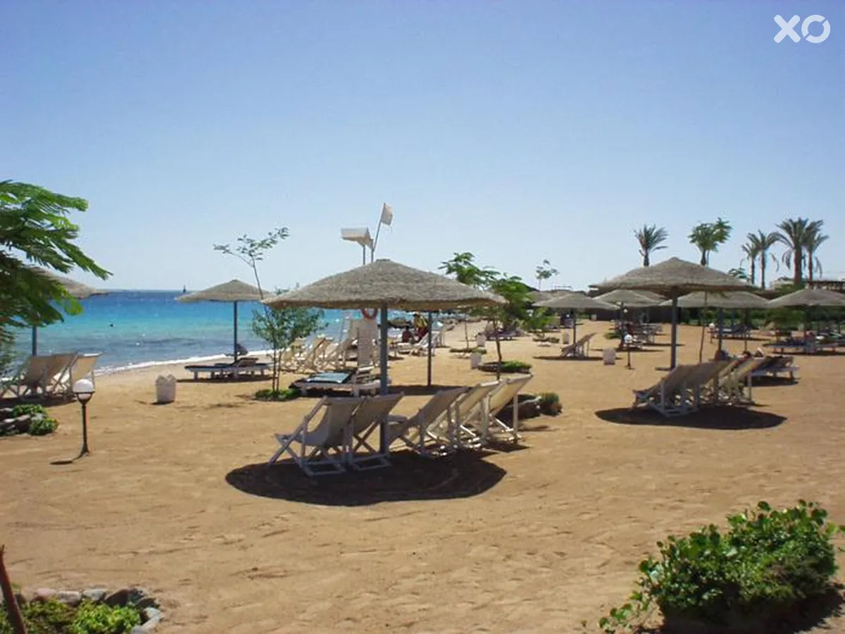 Sea Garden