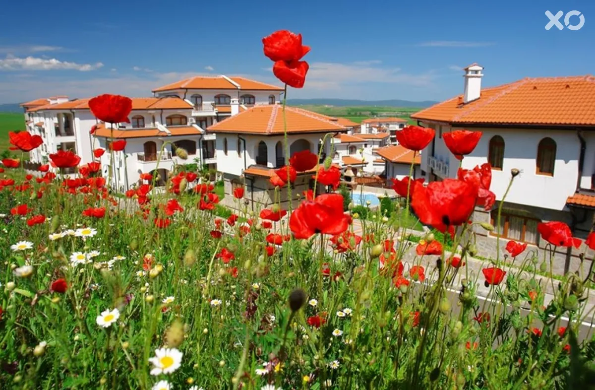 The Vineyards Resort