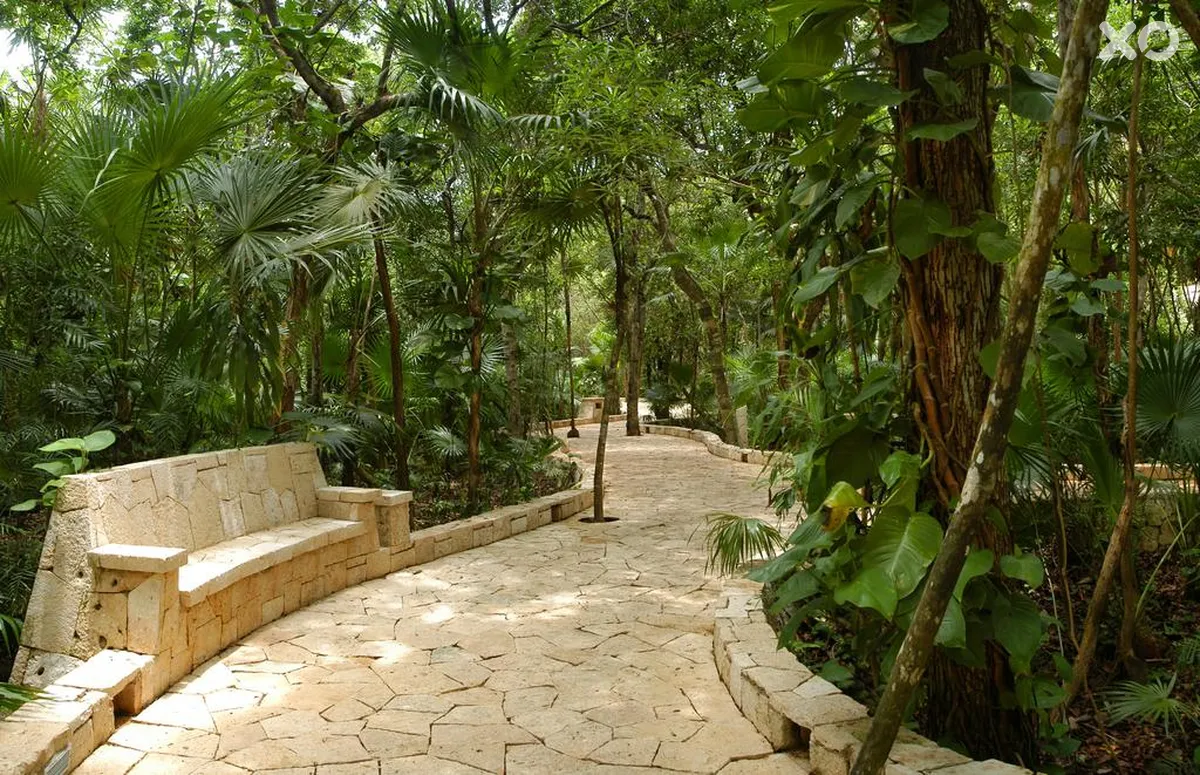 Catalonia Royal Tulum
