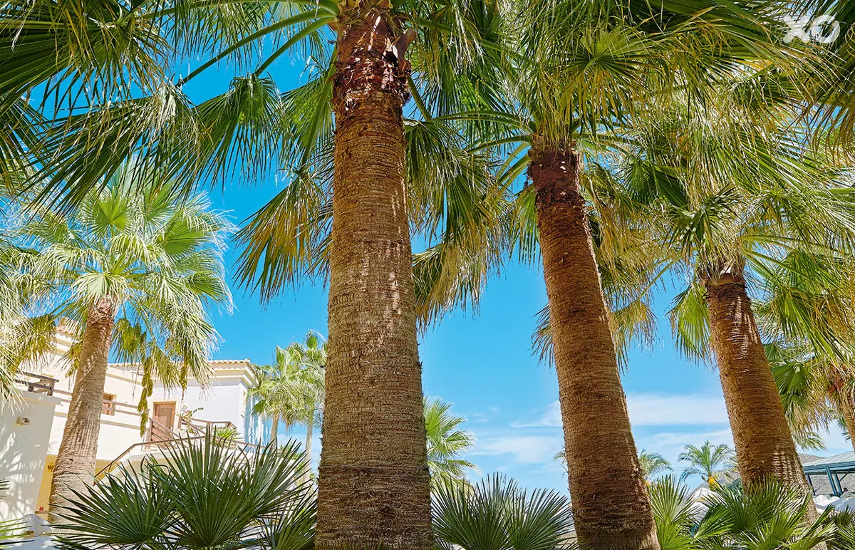 Grecotel Marine Palace & Aqua Park