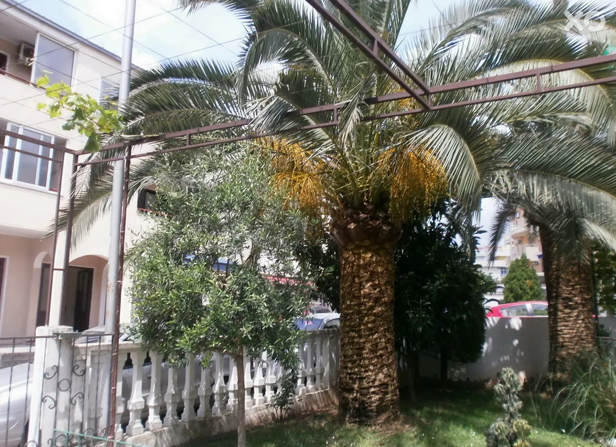Todorovic Villa