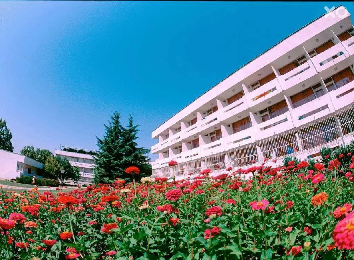 Компас