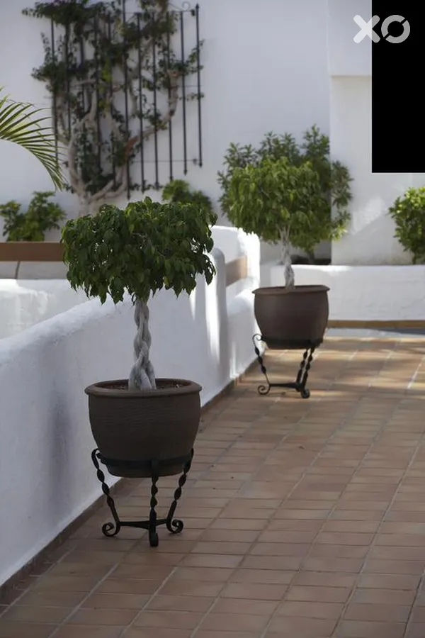 The Suites at Beverly Hills