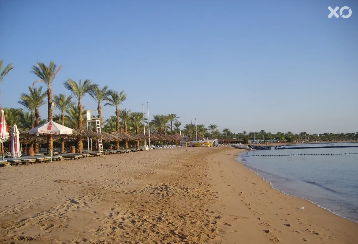 Falcon Naama Star Hotel