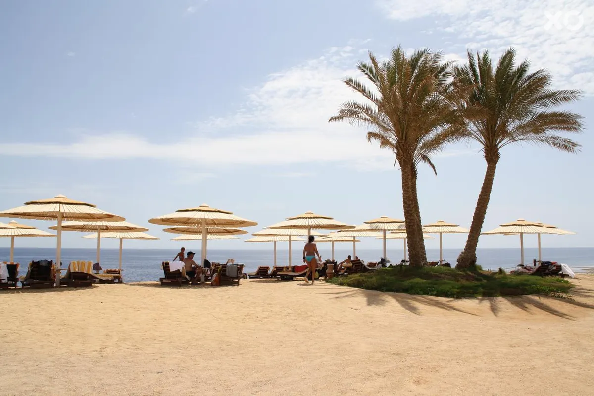 Solymar Reef Marsa