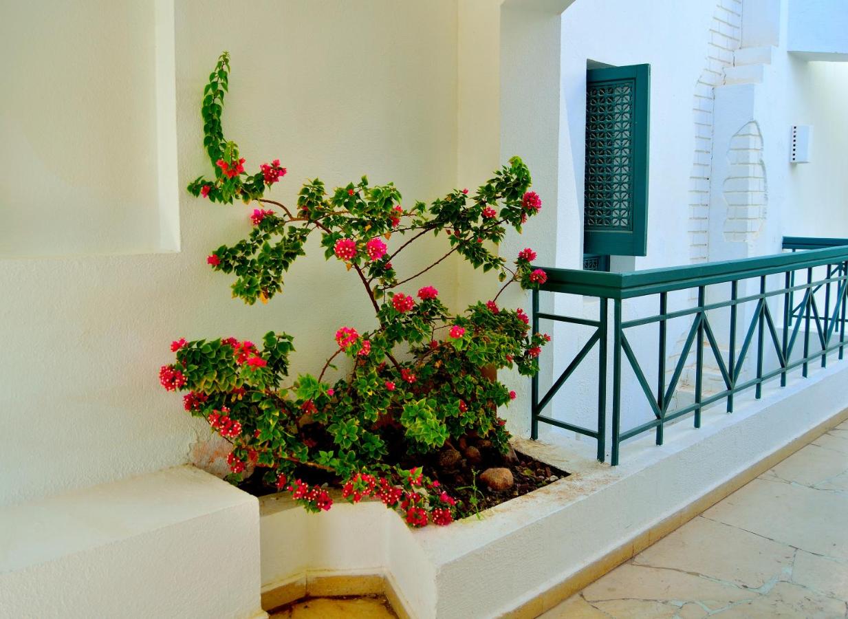 Jaz Neo Naama Bay (ex. Sol Y Mar Naama Bay)