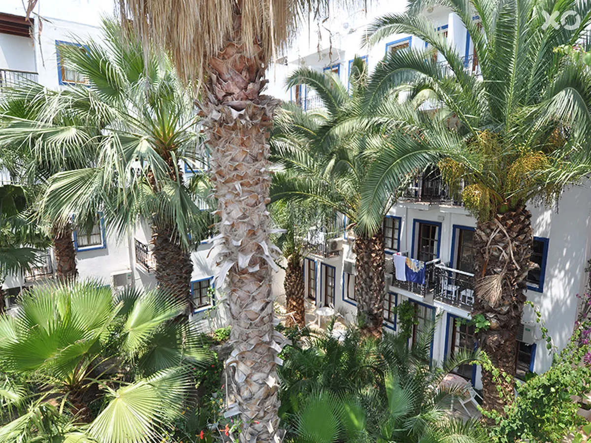 Sami Beach Hotel