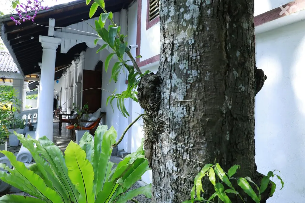 Nooit Gedacht Heritage Hotel
