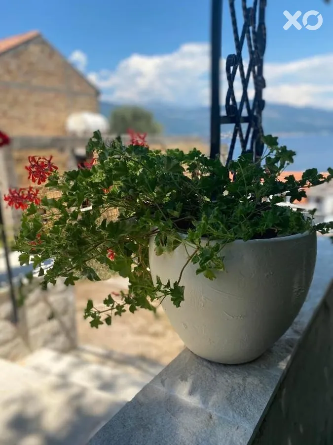Mare Villa