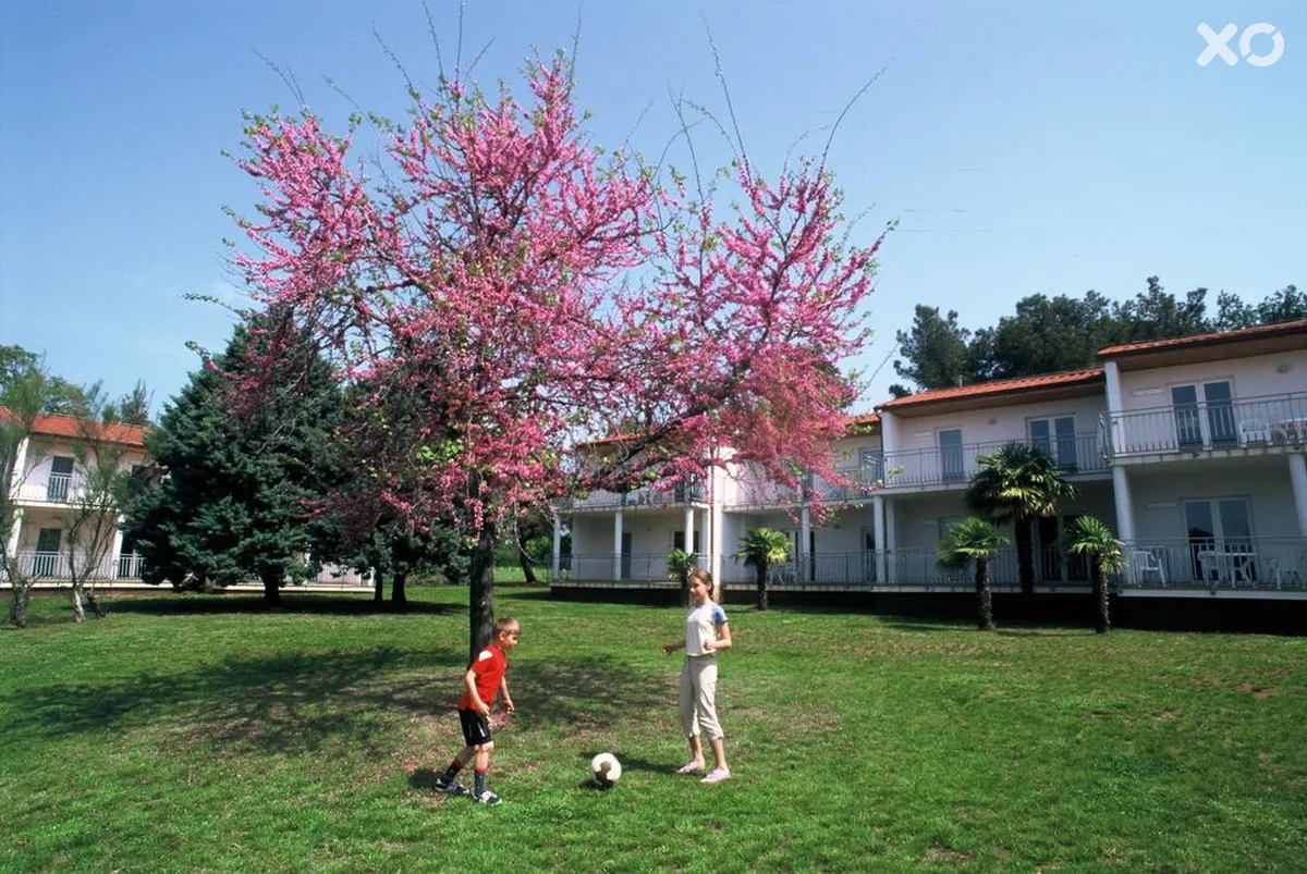 Ai Pini Resort