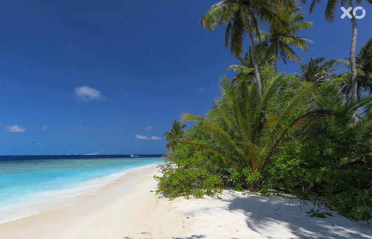 Bandos Maldives