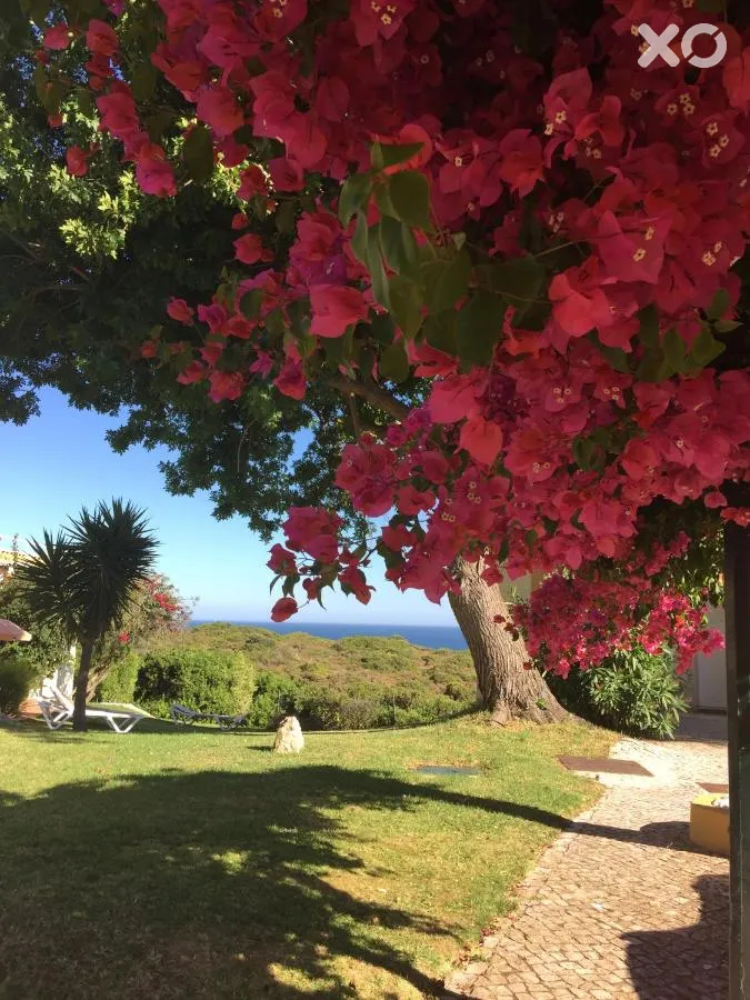 Pestana Palm Gardens