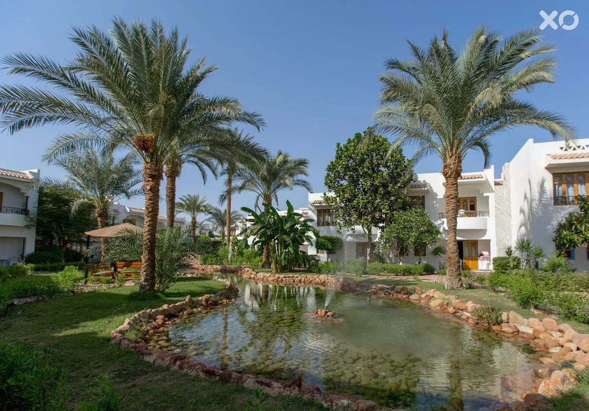 Dive Inn Resort