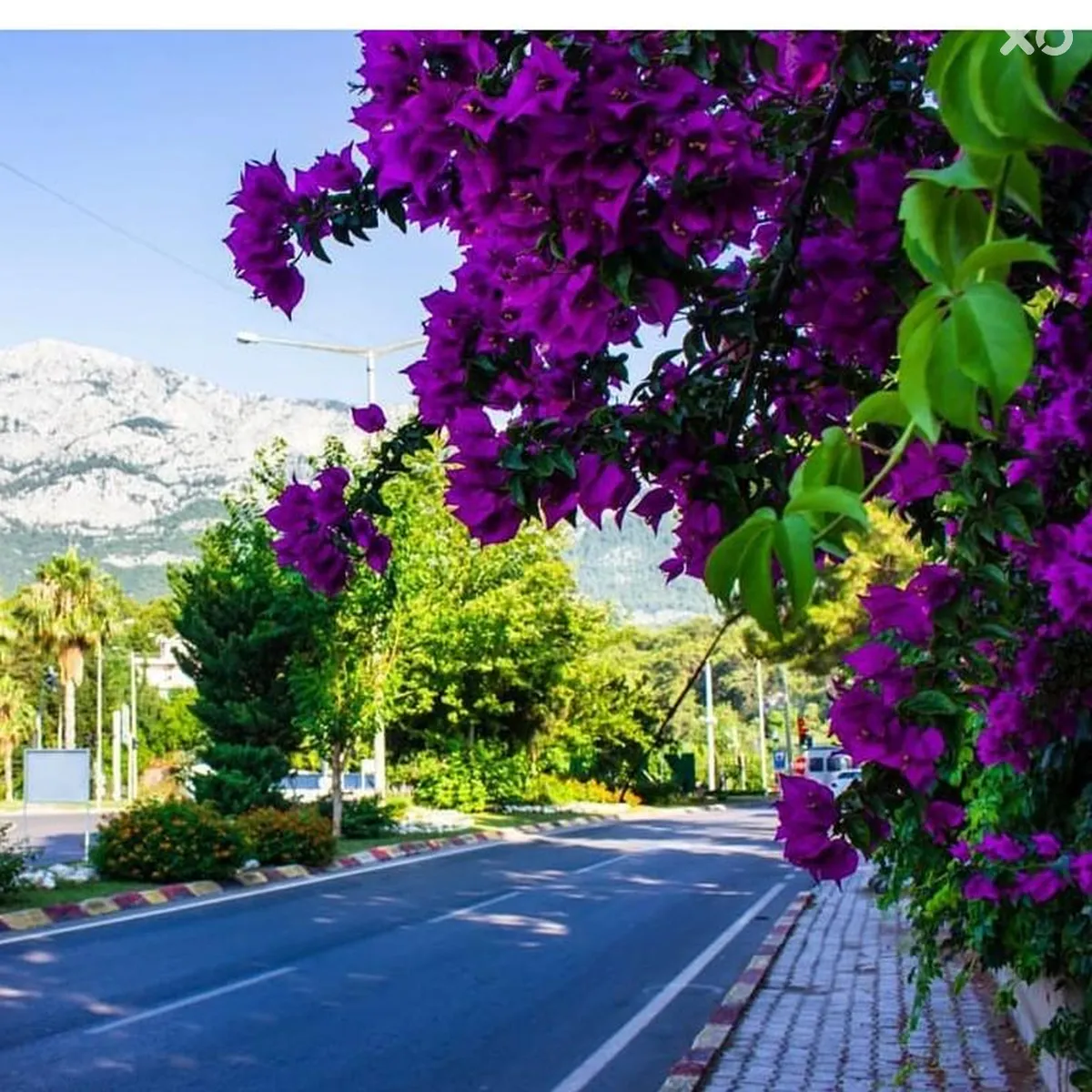 Green Valley Boutique Hotel