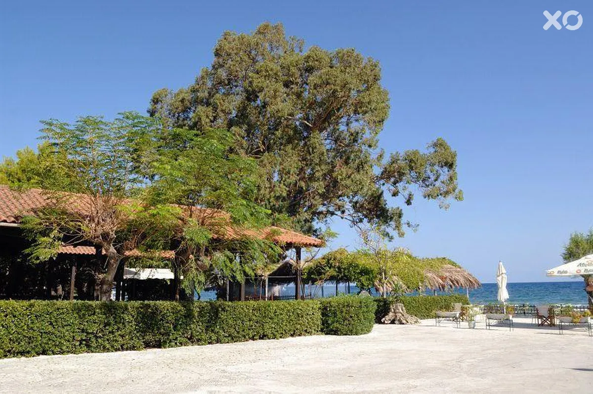 Mimoza Beach Resort