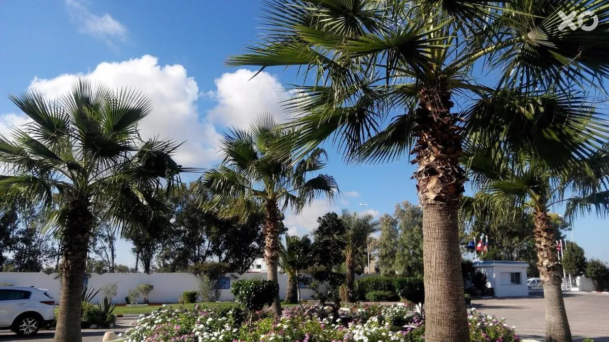 Palmyra Holiday Resort & Spa