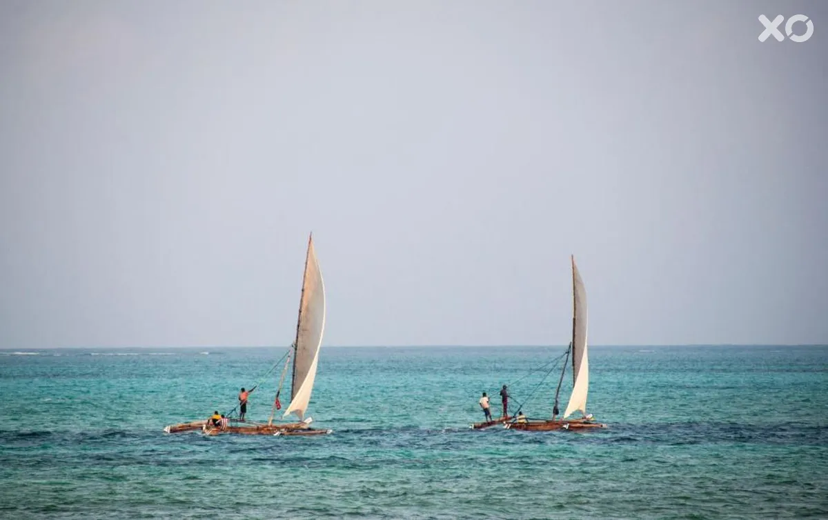 The Nest Boutique Resort