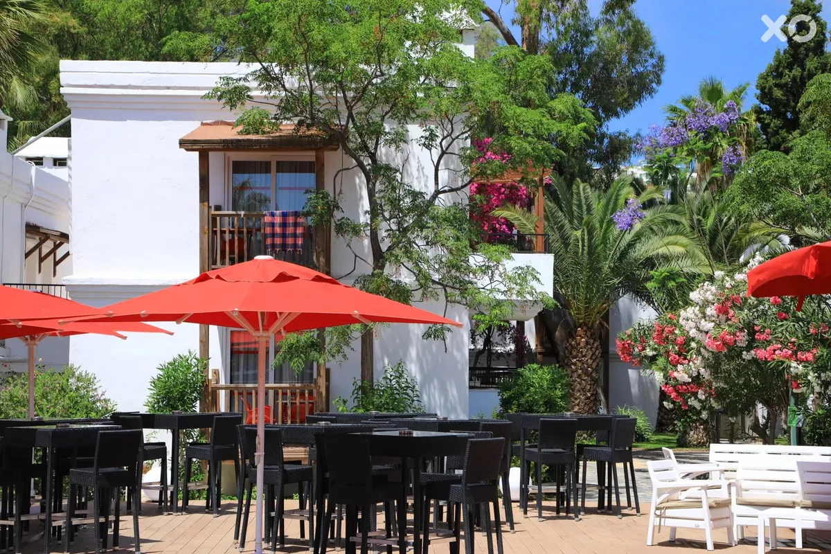 Very Chic Hotel