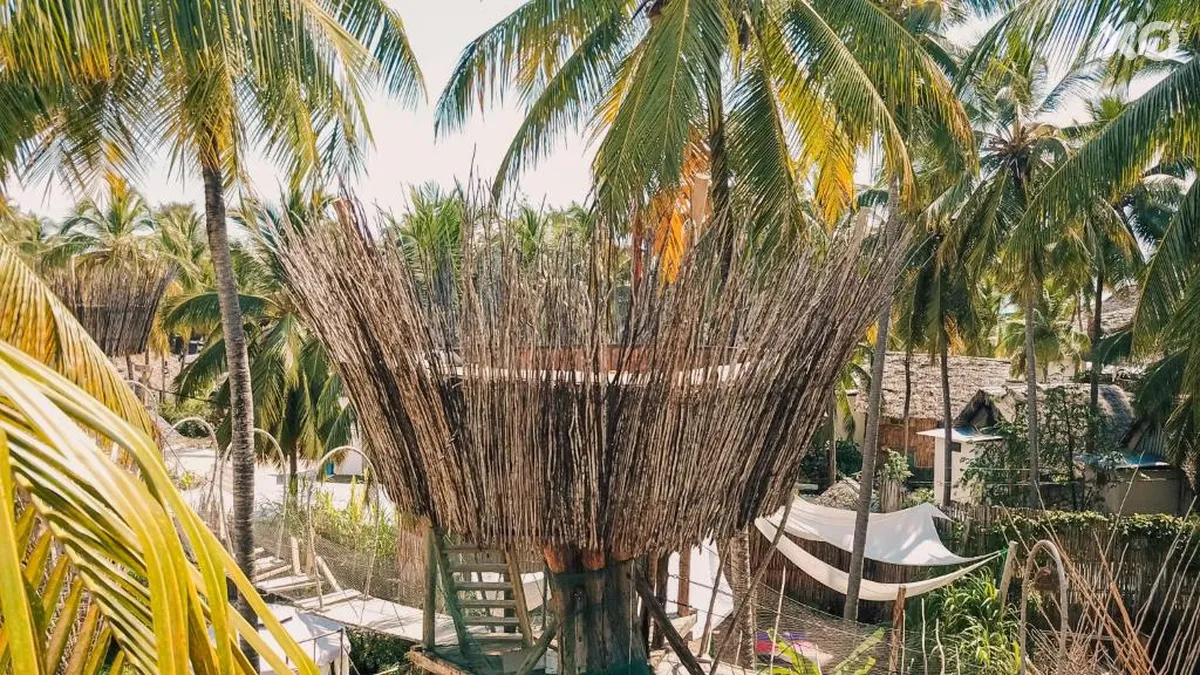 The Nest Boutique Resort