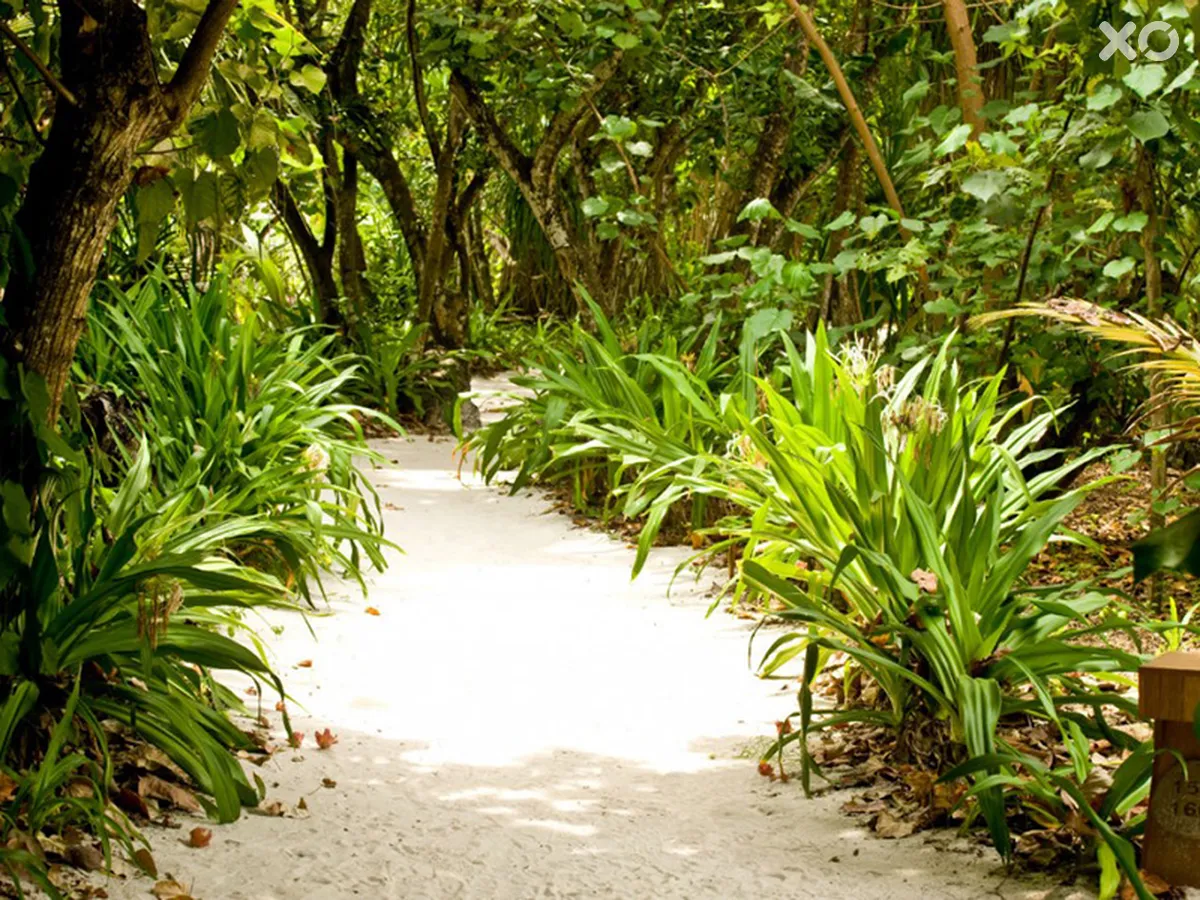 Reethi Beach Resort