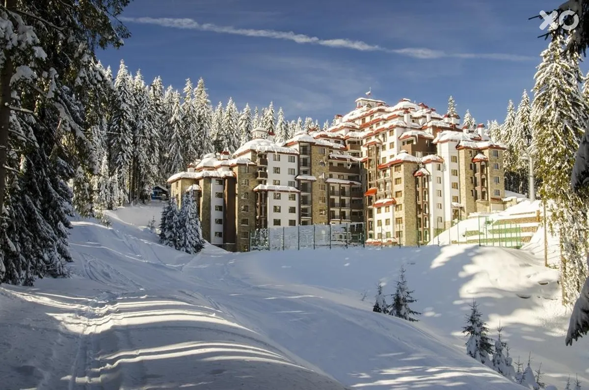 Kamelia Complex