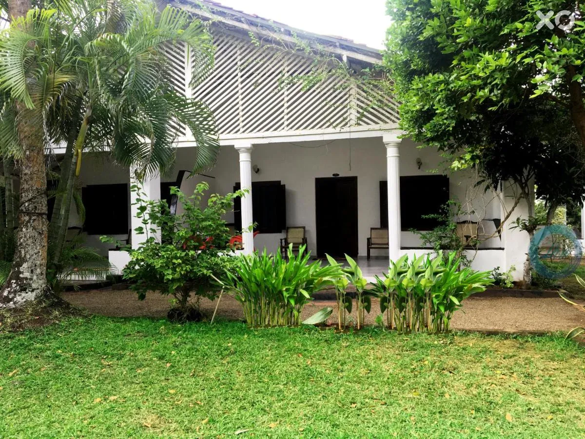 Freedom Villa