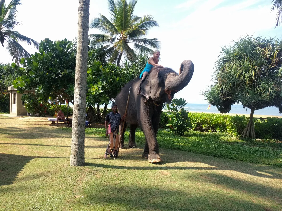Tangerine Beach Hotel
