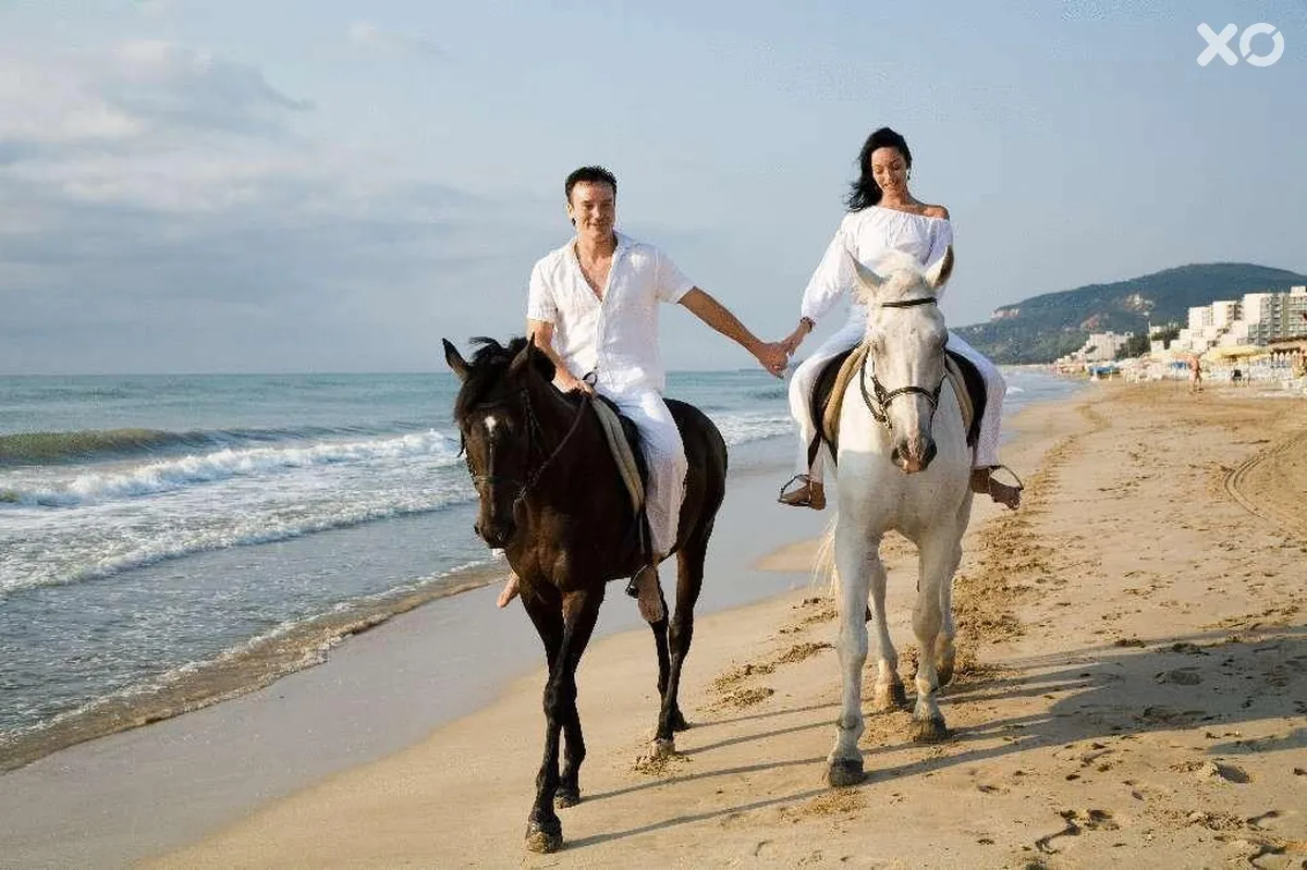Arabella Beach Hotel