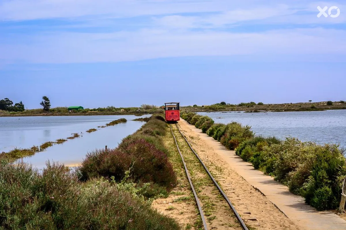 Pedras D'el Rei