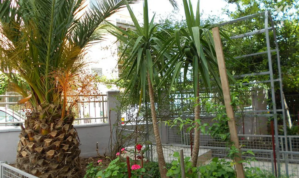 Todorovic Villa