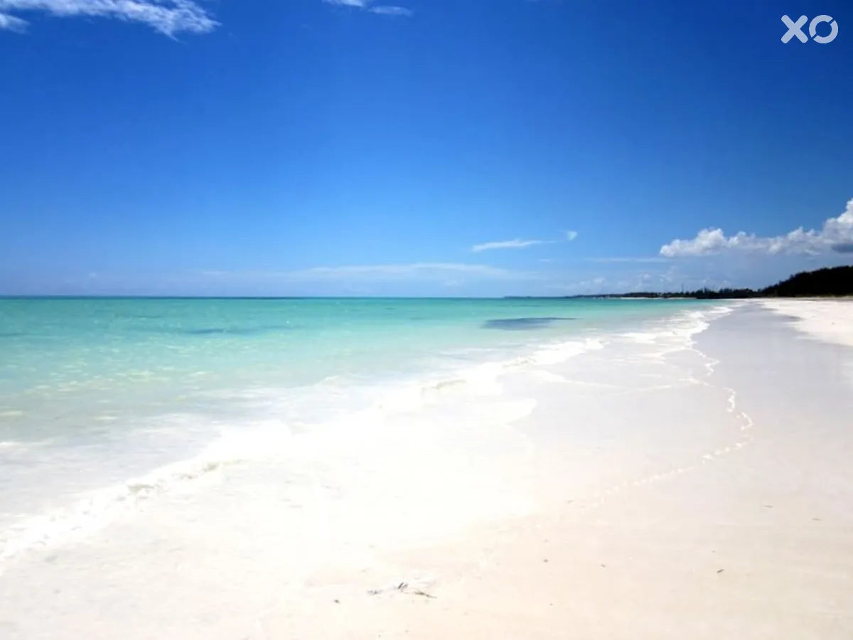 Sahari Zanzibar