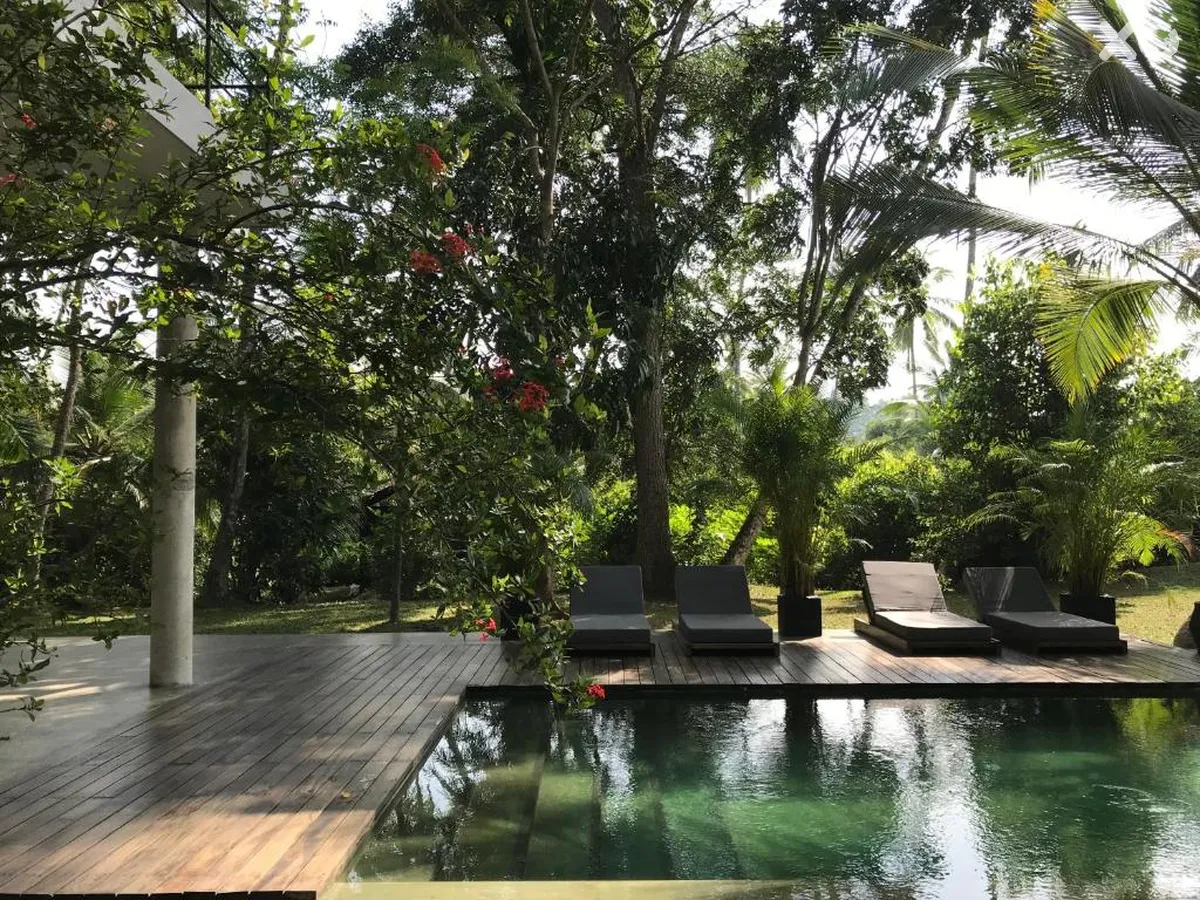 Kaju Green