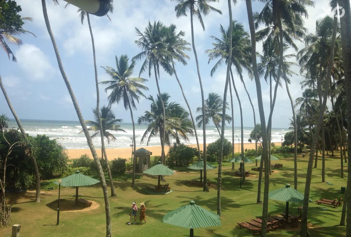 Tangerine Beach Hotel