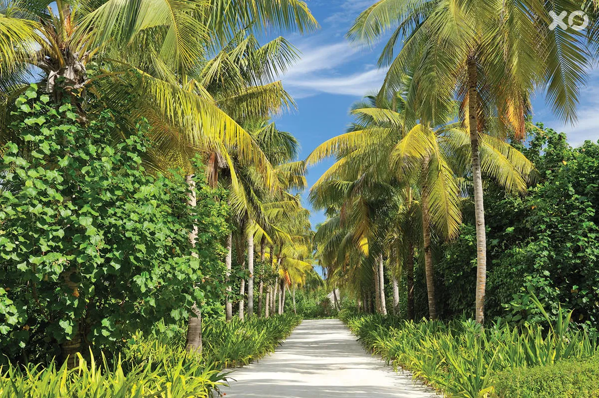 Ayada Maldives