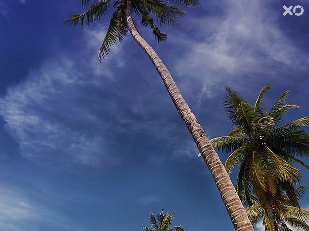 Apsara Beachfront Resort & Villa