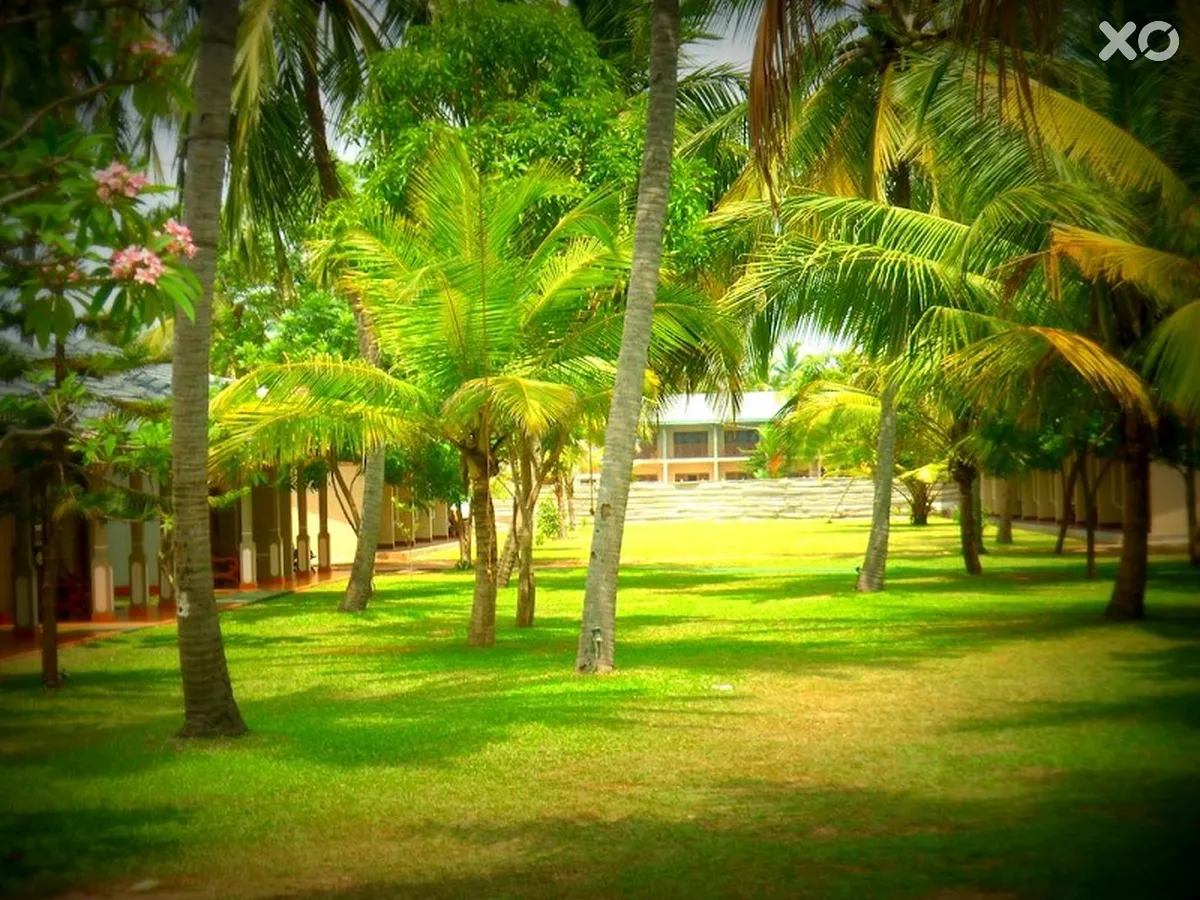 Carolina Beach Hotel