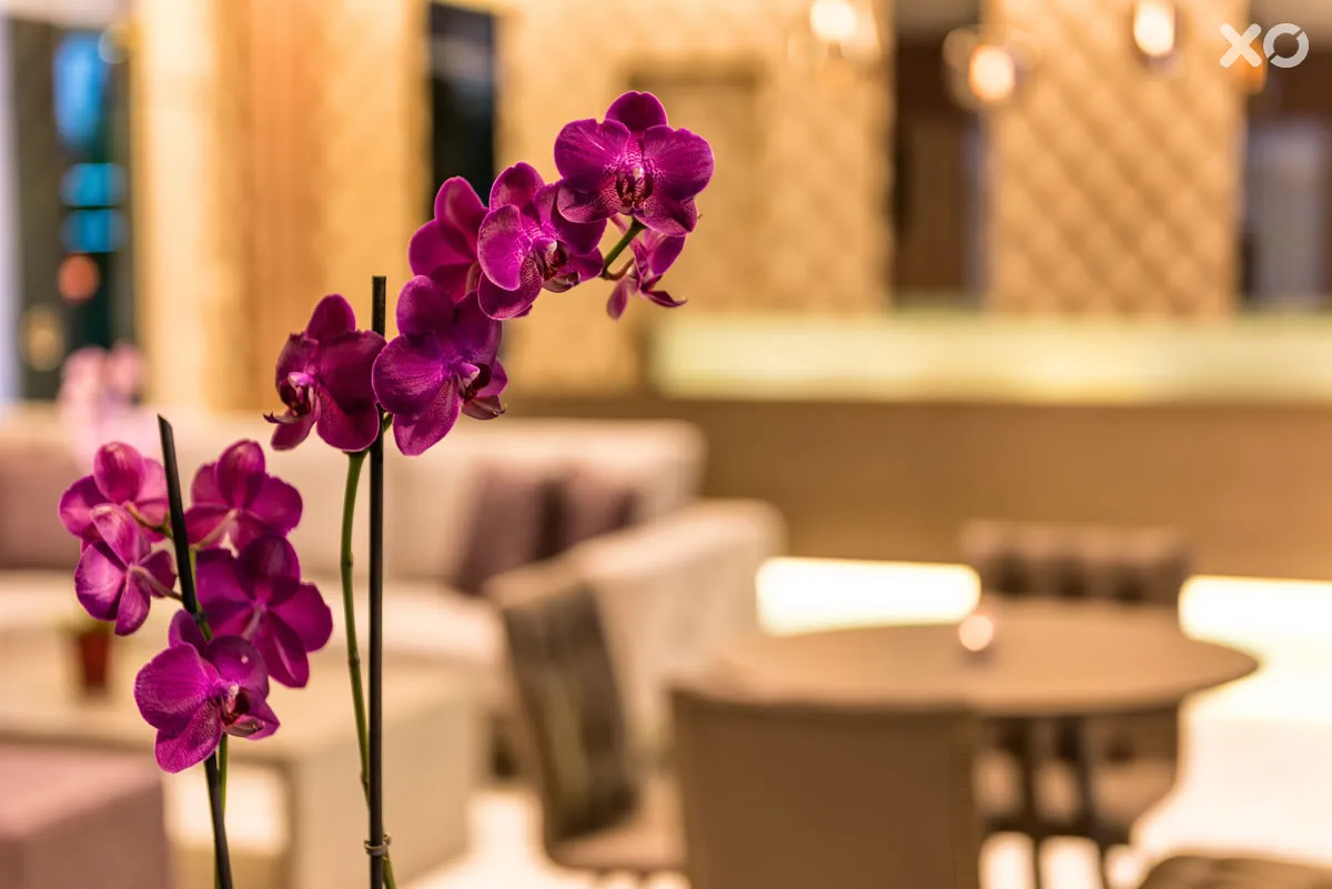 Ariadne Hotel