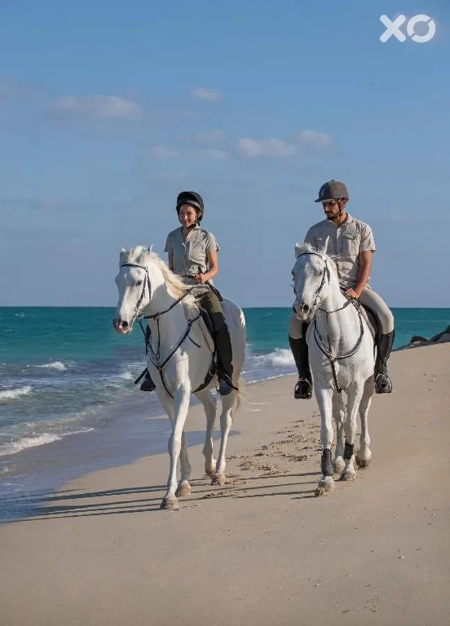 Anantara Sir Bani Yas Island Al Sahel Villas