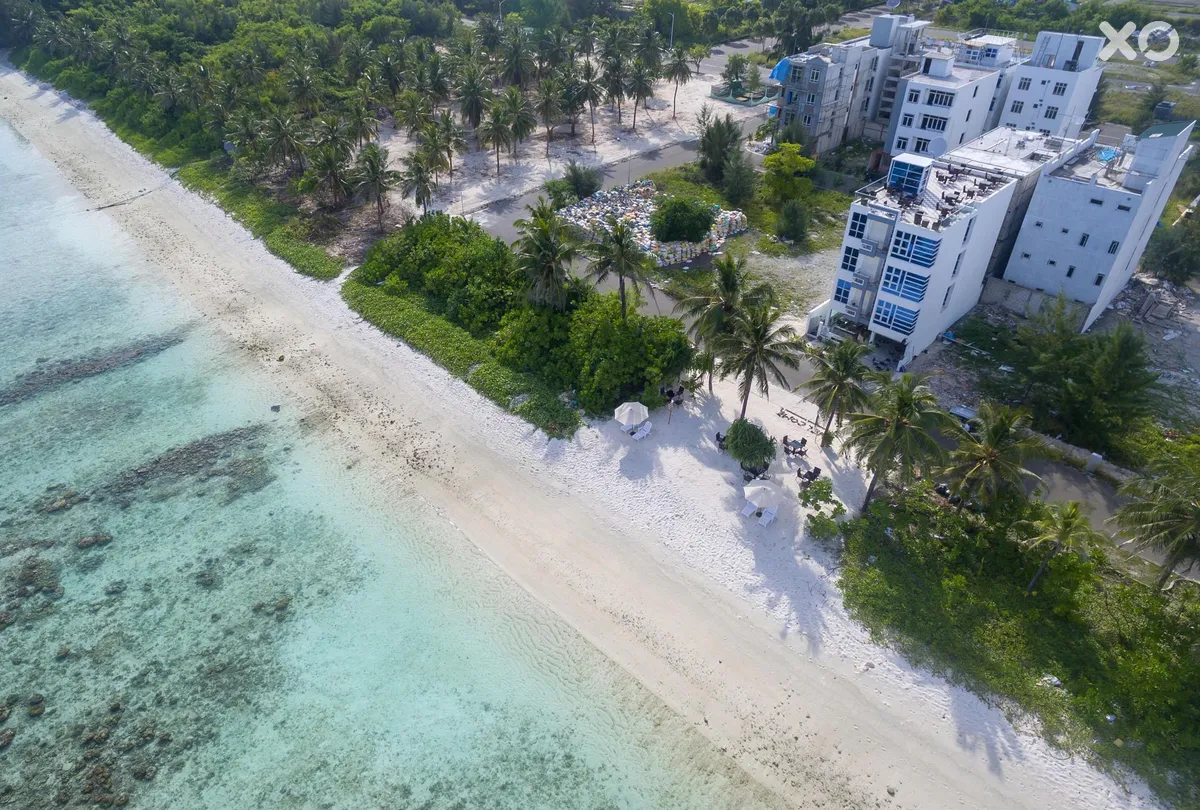 White Harp Beach