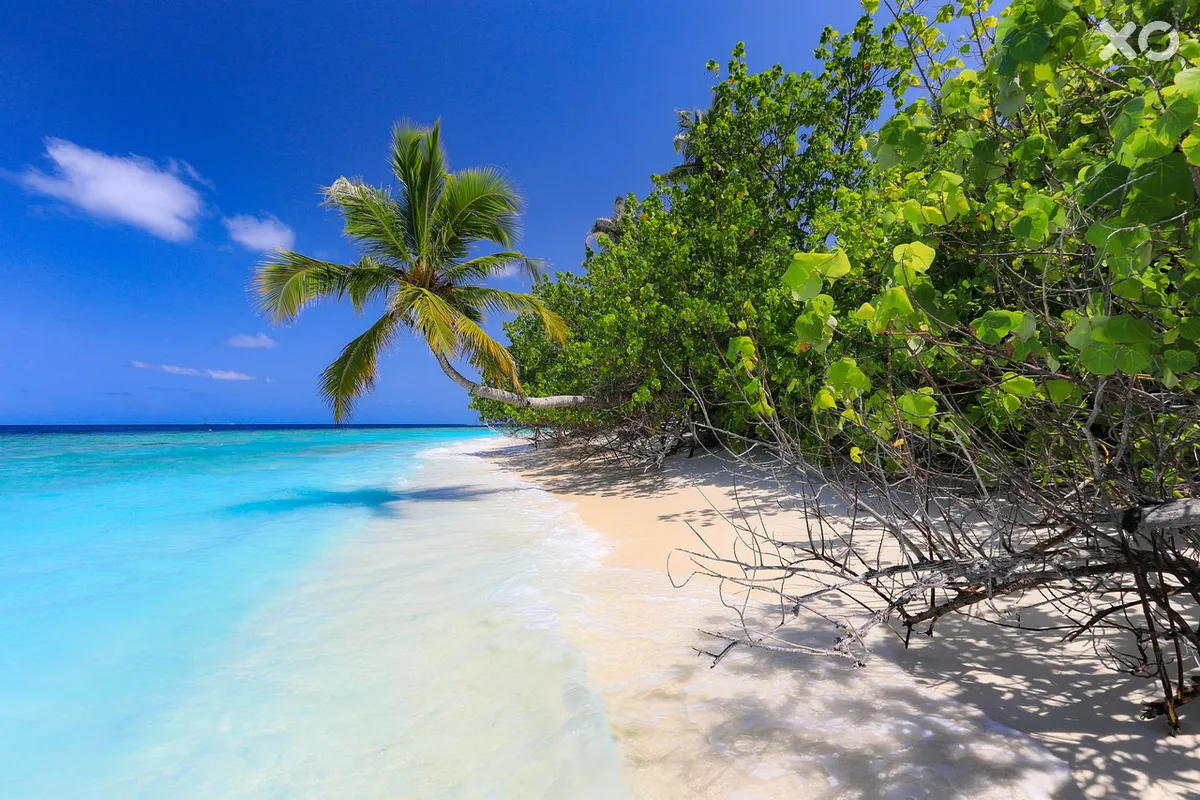 Bandos Maldives