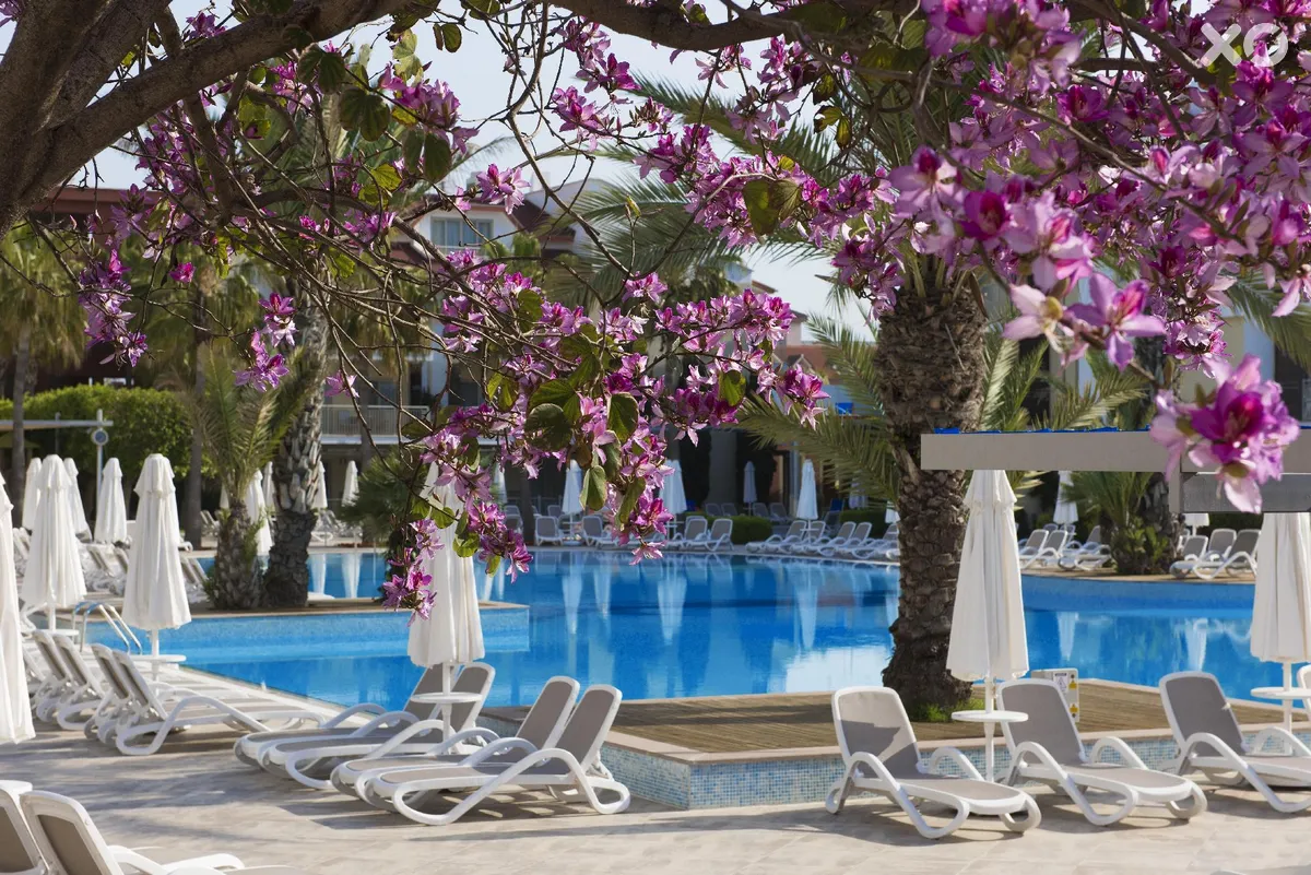Barut B Suites
