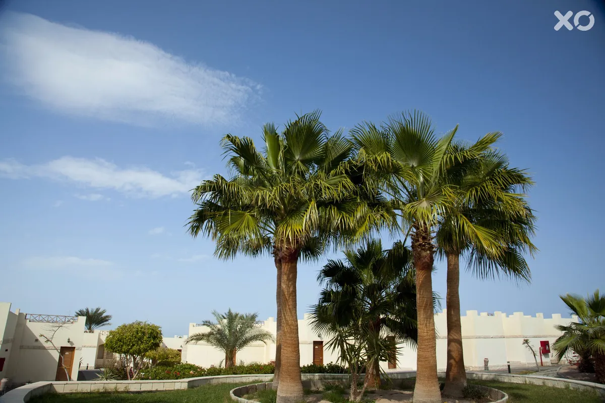 Coral Beach Hurghada