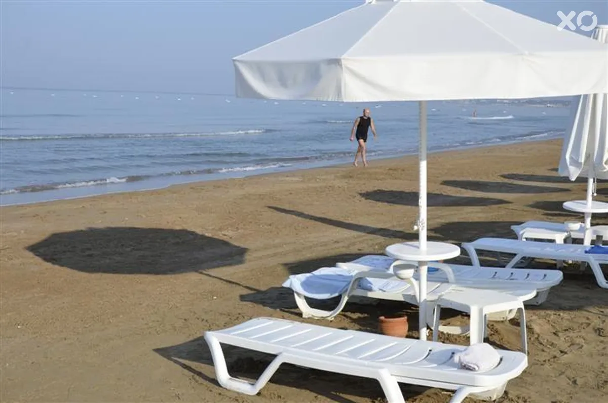Barut Arum