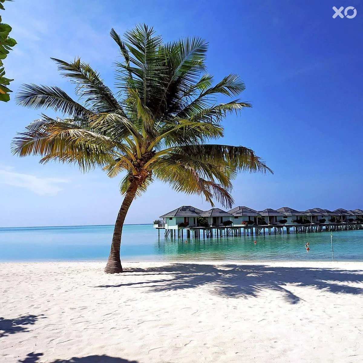 Villa Park Sun Island Resort