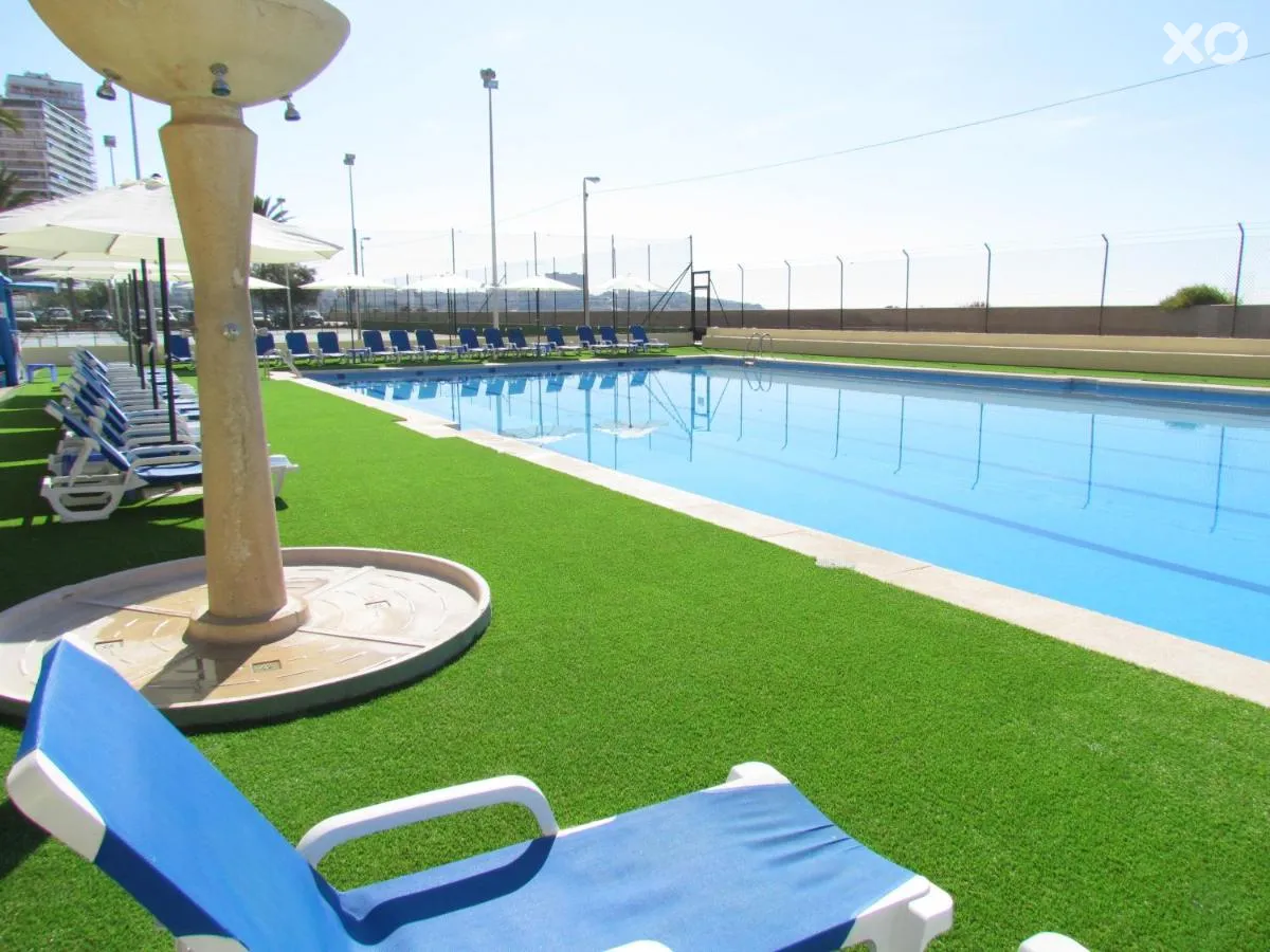 Albahia Alicante